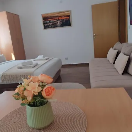 アパート Soko Center & Parking Free ソコバニャ